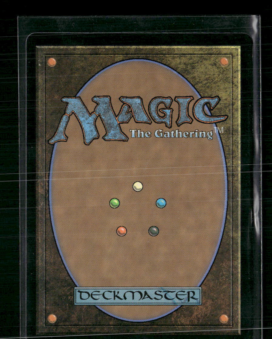 Mistrise Village (Borderless) Tarkir: Dragonstorm #397 Foil - Back