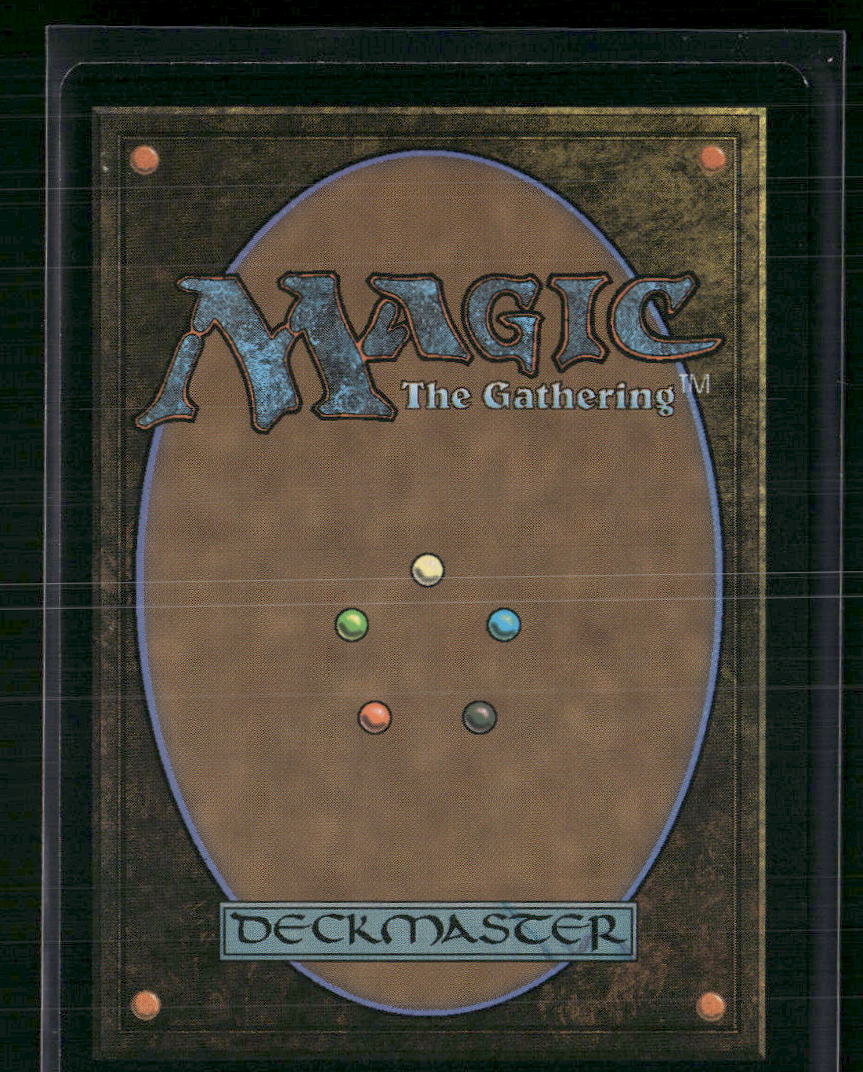 Delighted Halfling (Borderless) Tales of Middle-earth #402 Foil - Back