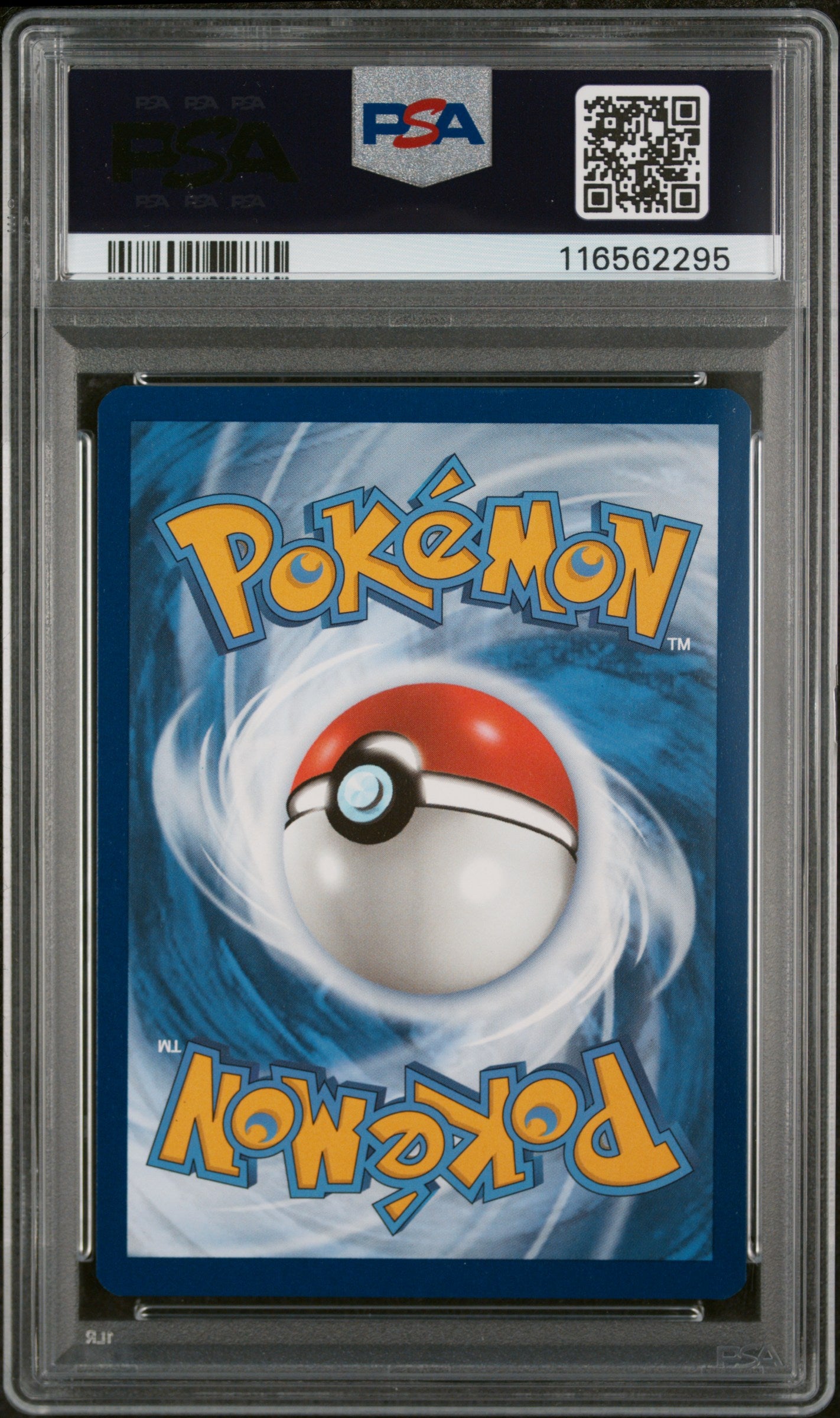 Pikachu Ex 2024 -Surging Sparks #238 Special Illustration Rare PSA 9 - Back