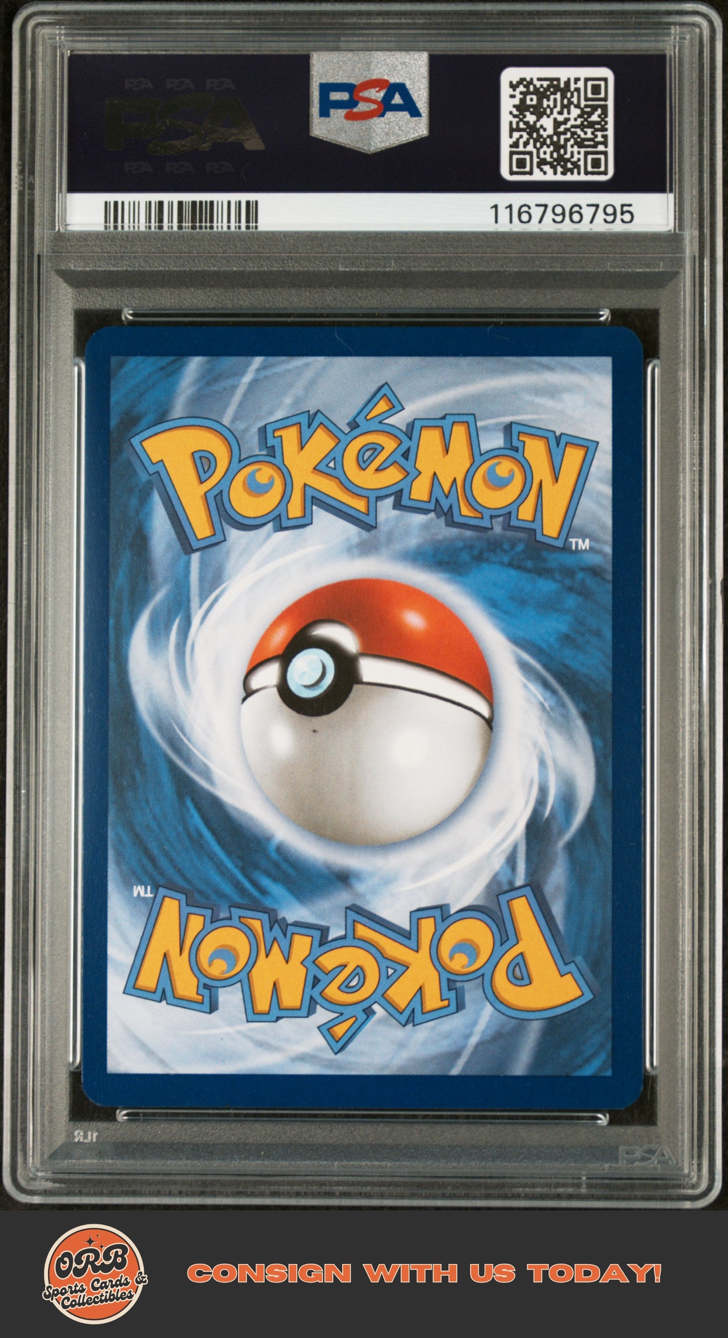 Salamence Ex 2025 Pokemon #187 Special Illustration Rare PSA 8 - Back