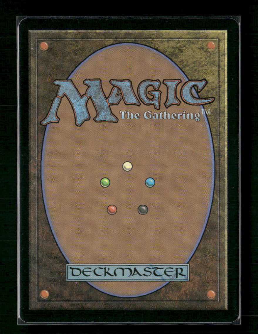 Ral, Crackling Wit (Borderless) Bloomburrow #341 - Back