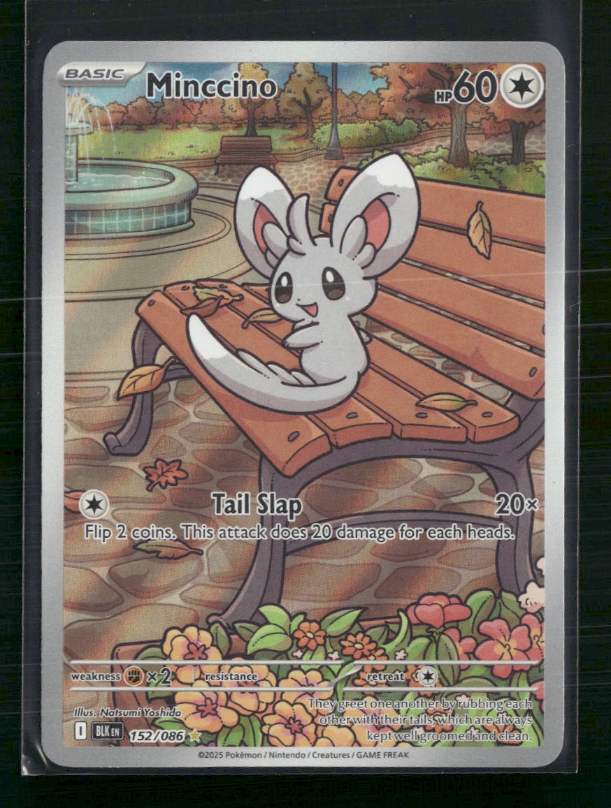 Minccino SV: Black Bolt #152/086