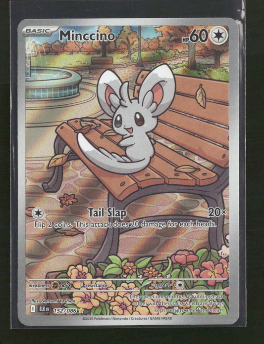 SV: Black Bolt Minccino #152/086