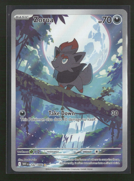SV: White Flare Zorua #142/086