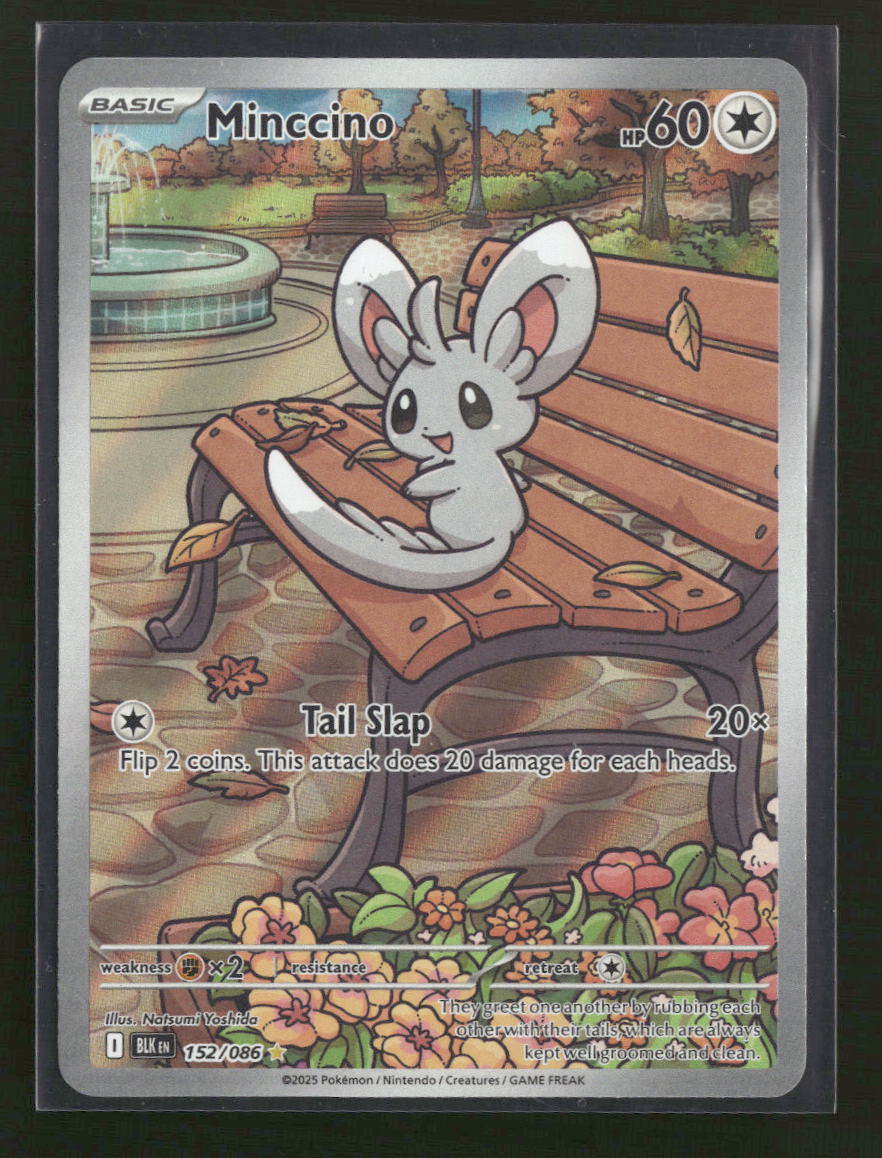 SV: Black Bolt Minccino #152/086