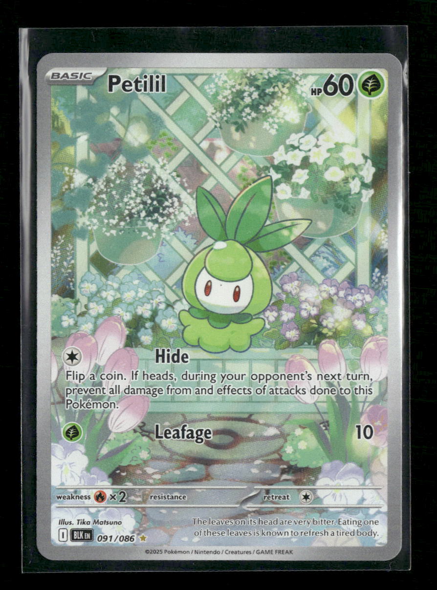 SV: Black Bolt Petilil #091/086