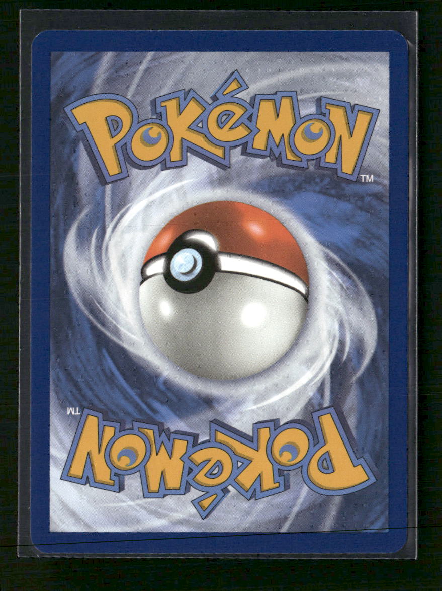 SWSH: Sword & Shield Promo Cards Lucario VSTAR #SWSH291