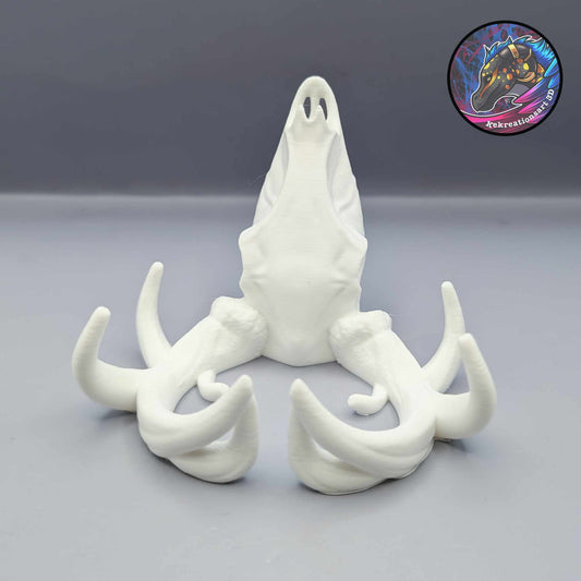 Exhibición de tarjetas con calavera de ciervo