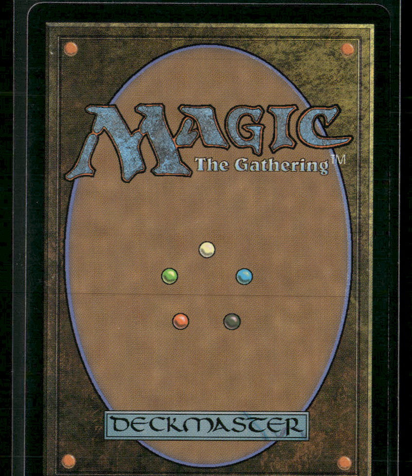 Universes Beyond: The Lord of the Rings: Tales of Middle-earth Mithril Coat #245