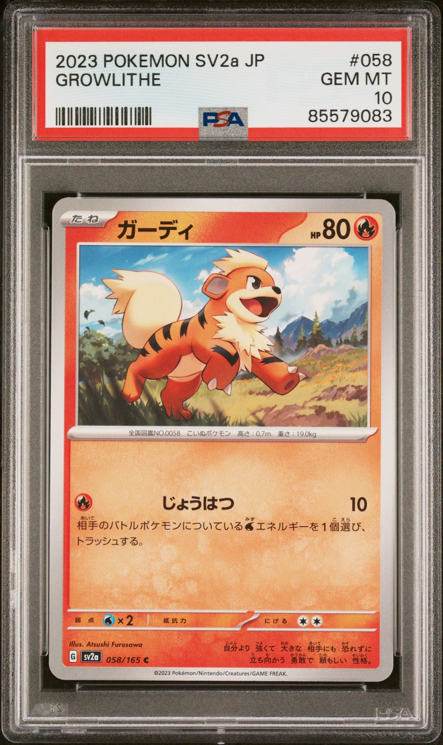 2023 POKEMON JAPANESE SV2a-POKEMON 151 GROWLITHE #58 -  PSA  10