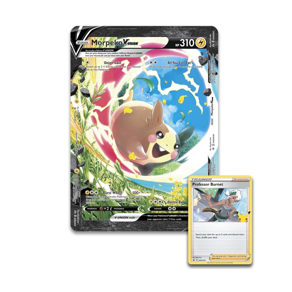 Colección especial Morpeko V-UNION