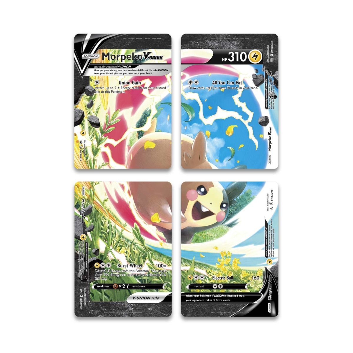 Colección especial Morpeko V-UNION