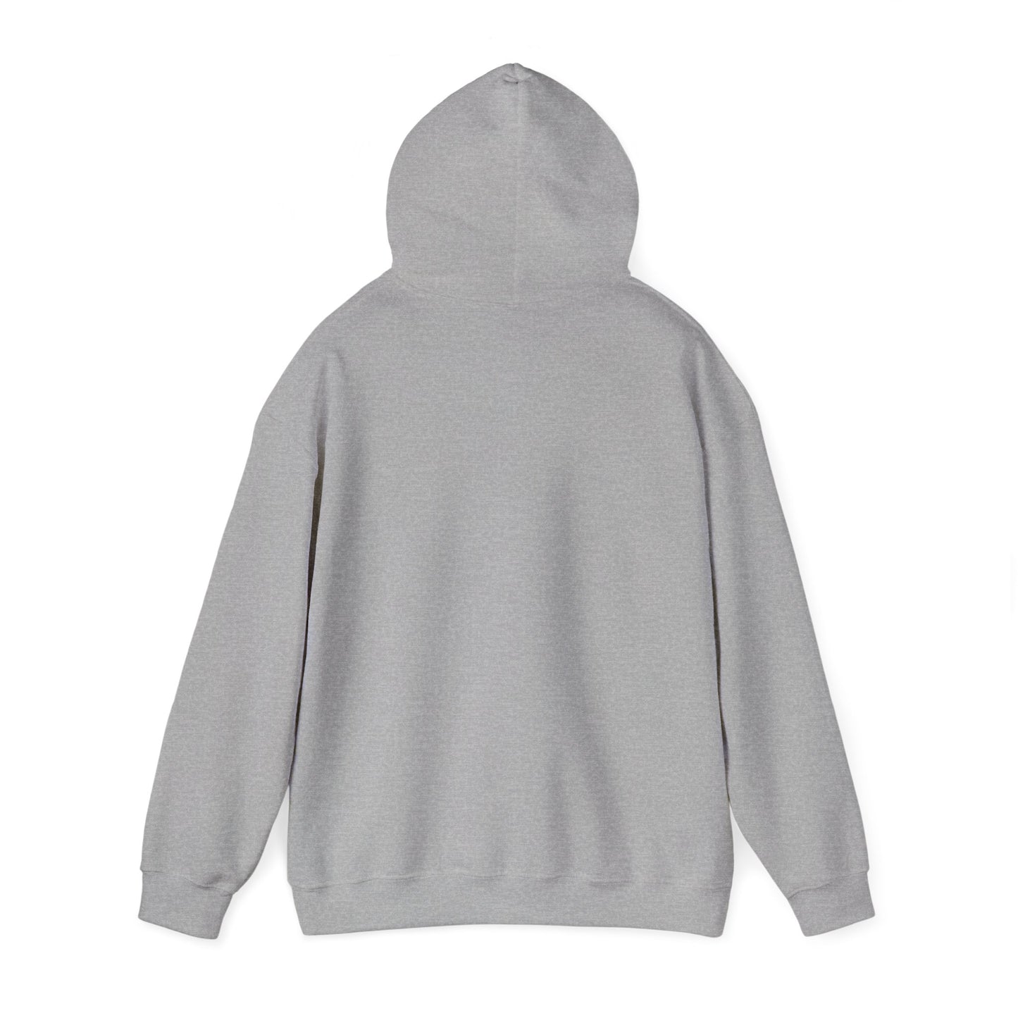 ORB Pullover Hoodie