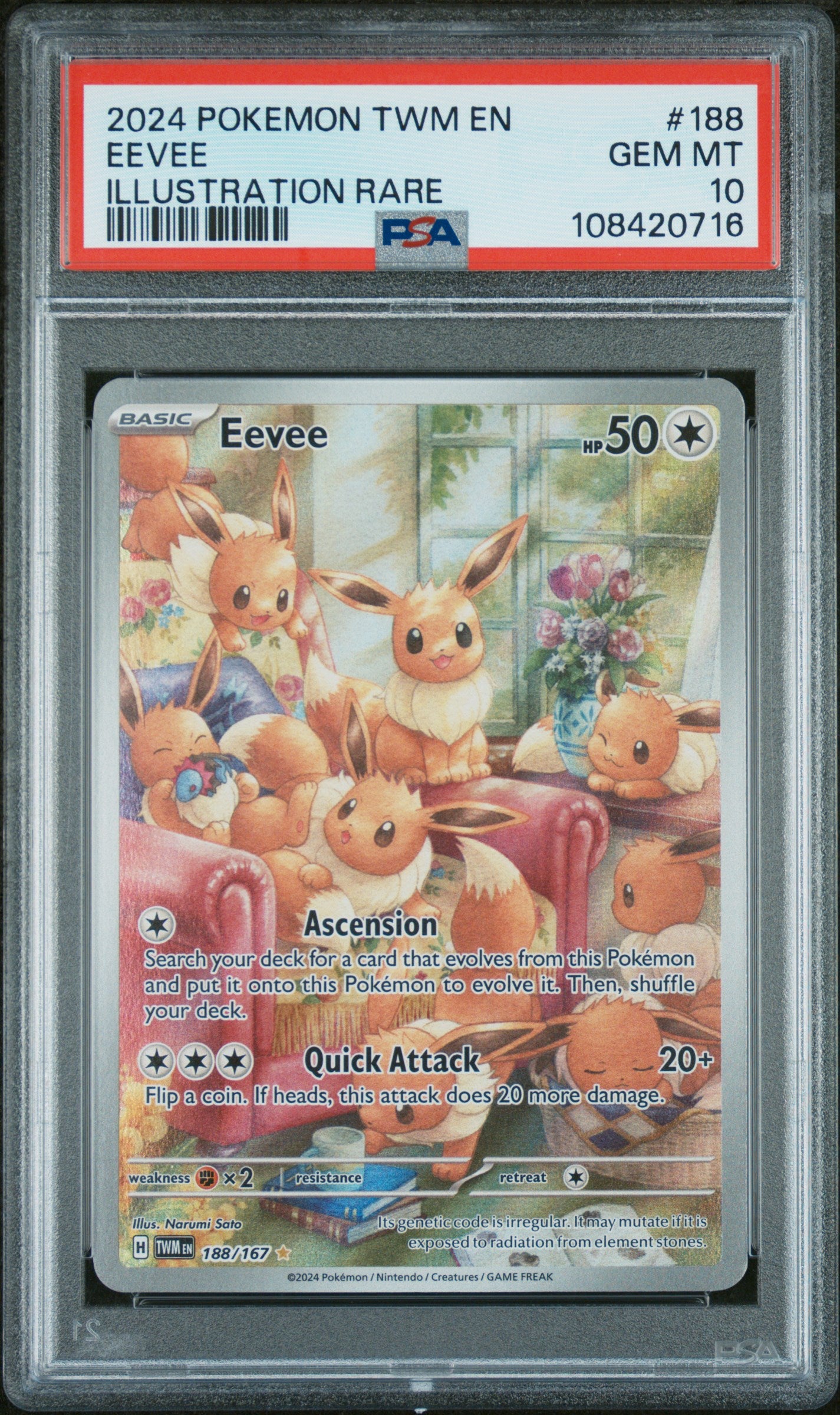 Eevee 2024 Pokemon Twm En-Twilight Masquerade #188 Illustration Rare PSA 10 - Front