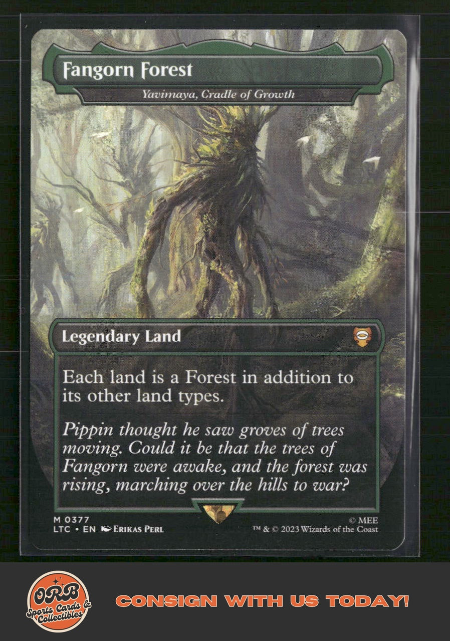 Fangorn Forest Tales of Middle-earth #377 - Front