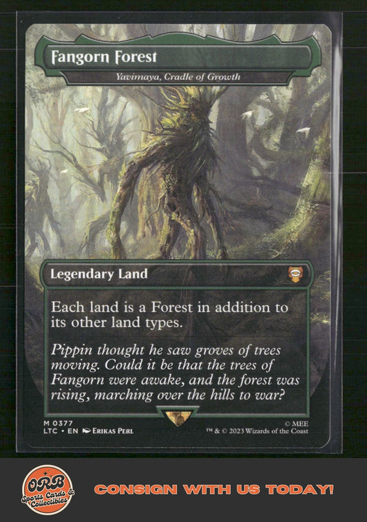 Fangorn Forest Tales of Middle-earth #377 - Front