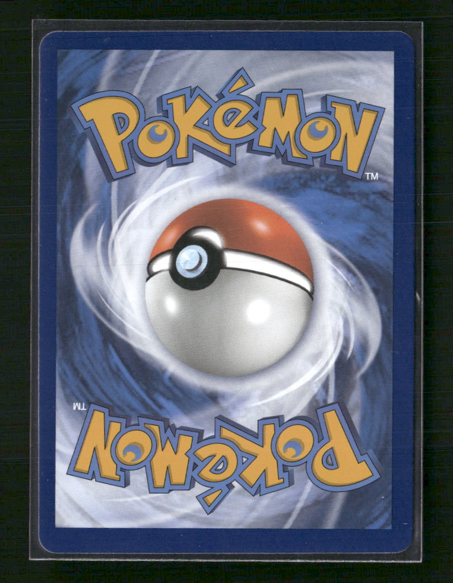 Lucario VSTAR SWSH: Sword & Shield Promo Cards #SWSH291 - Back