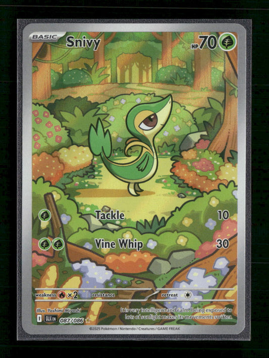 Snivy - 087/086 - SV: Black Bolt (BLK) - Front