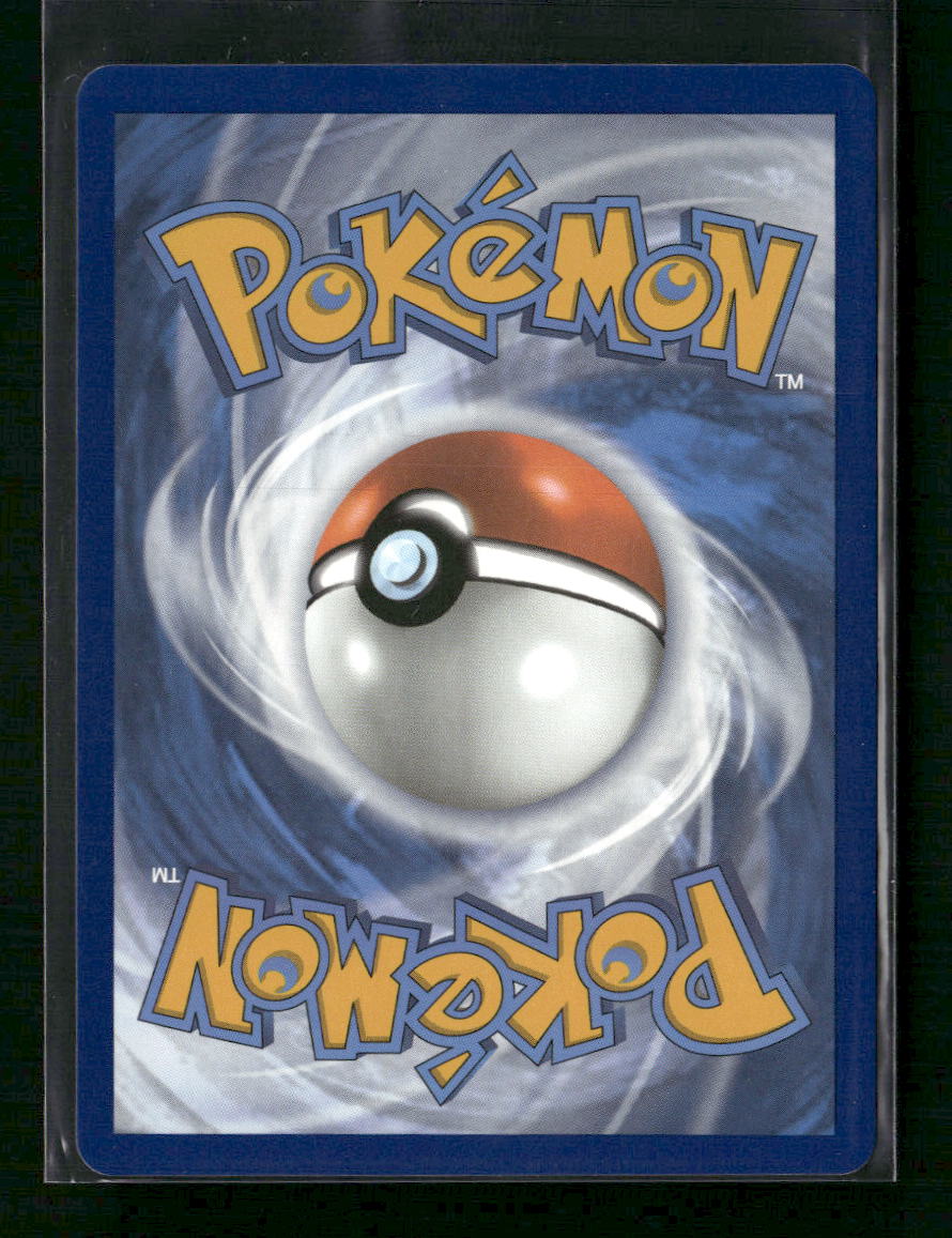 Friends in Sinnoh (Full Art) Crown Zenith #149/159 - Back
