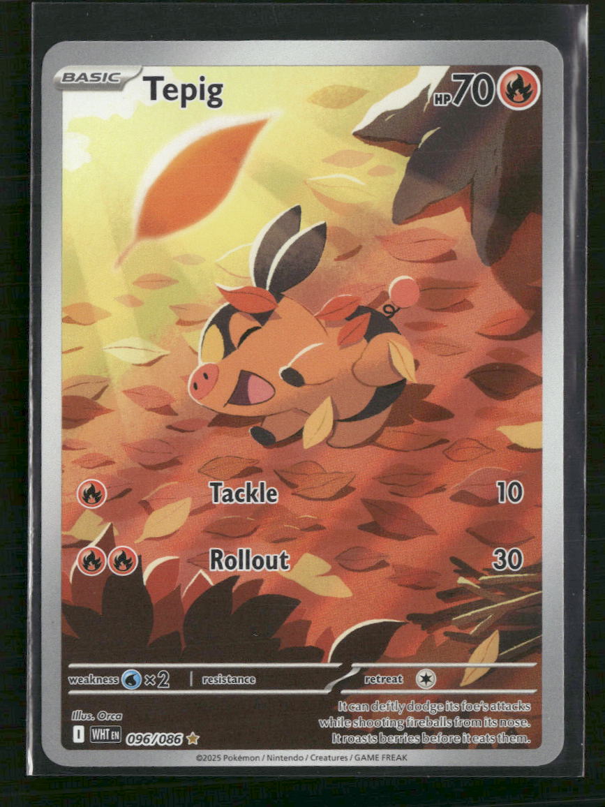 Tepig - 096/086 - SV: White Flare (WHT) - Front