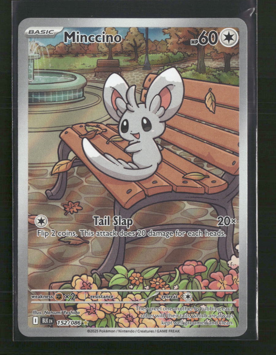 Minccino - 152/086 - SV: Black Bolt (BLK) - Front