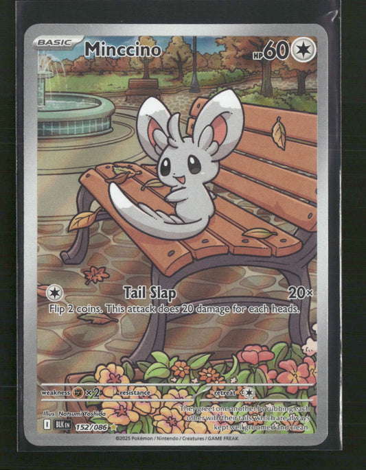 Minccino - 152/086 - SV: Black Bolt (BLK) - Front