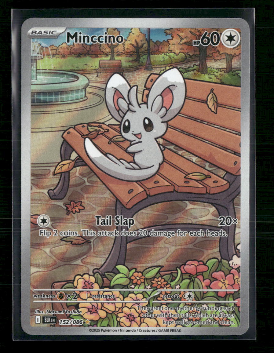 Minccino SV: Black Bolt #152/086 - Front