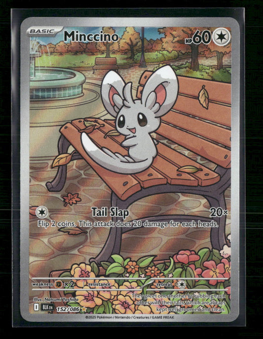 Minccino SV: Black Bolt #152/086 - Front