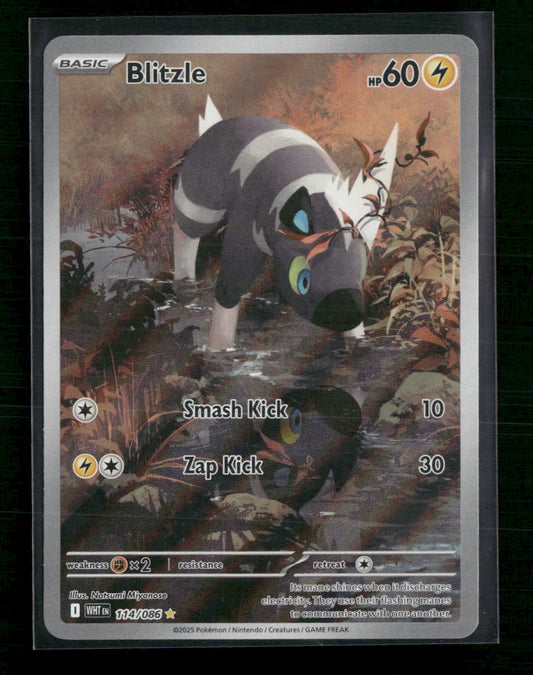 Blitzle SV: White Flare #114/086 - Front