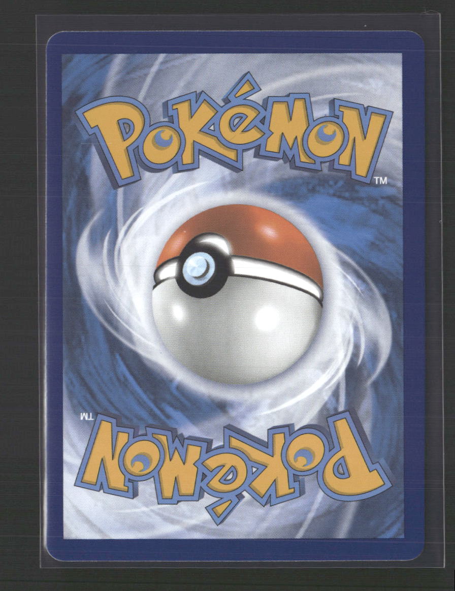 Lucario VSTAR SWSH: Sword & Shield Promo Cards #SWSH291 - Back