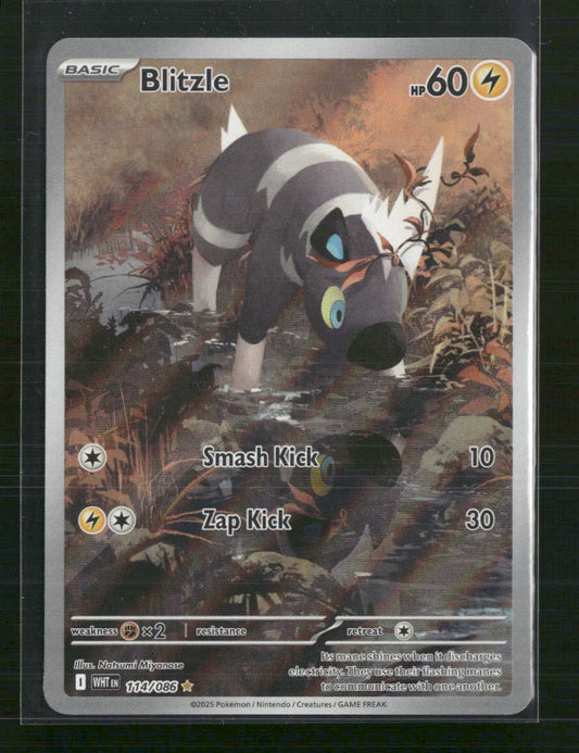 Blitzle SV: White Flare #114/086