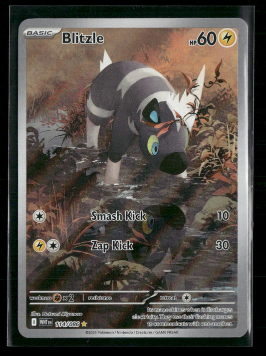 Blitzle SV: White Flare #114/086
