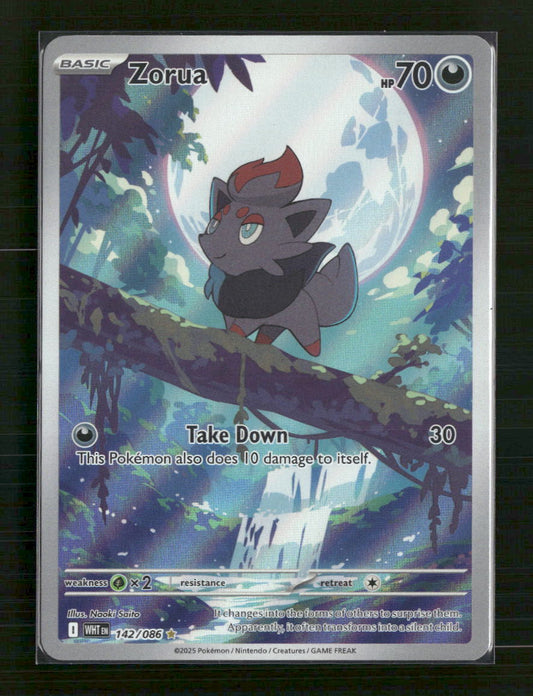 Zorua SV: White Flare #142/086