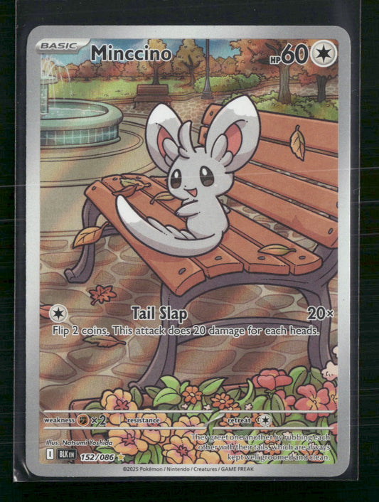Minccino SV: Black Bolt #152/086