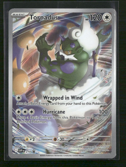 Tornadus SV: Scarlet & Violet Promo Cards #210