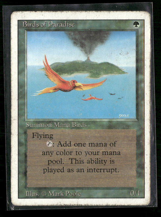 Birds of Paradise Revised Edition #