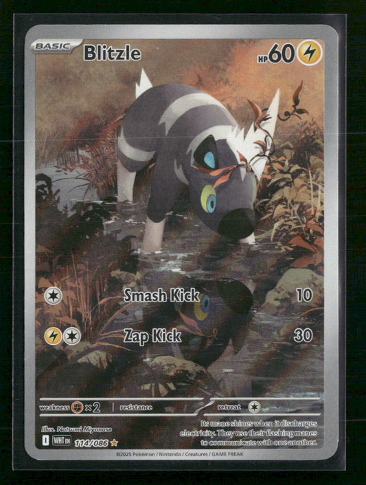 Blitzle SV: White Flare #114/086