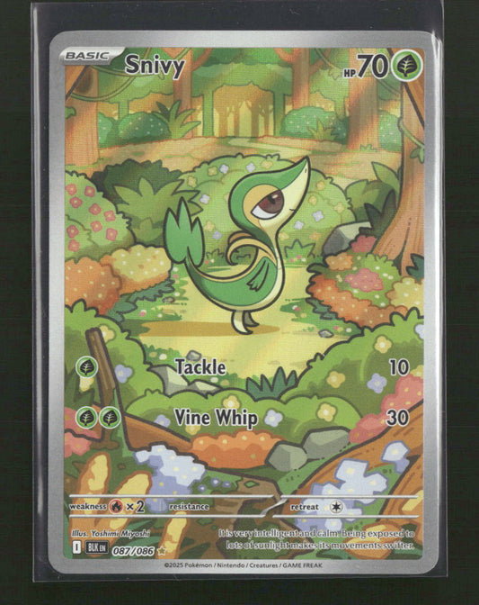 SV: Black Bolt Snivy #087/086