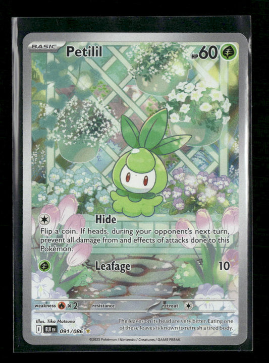 SV: Black Bolt Petilil #091/086