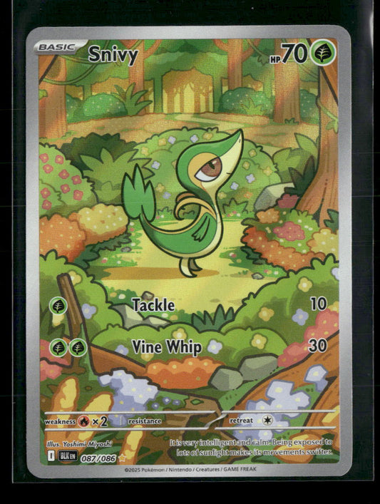 SV: Black Bolt Snivy #087/086