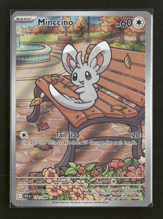 SV: Black Bolt Minccino #152/086