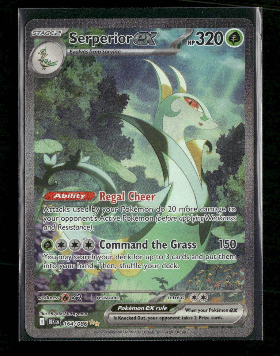 SV: Black Bolt Serperior ex #164/086