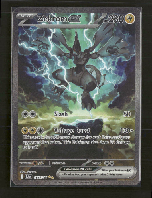 SV: Black Bolt Zekrom ex #166/086