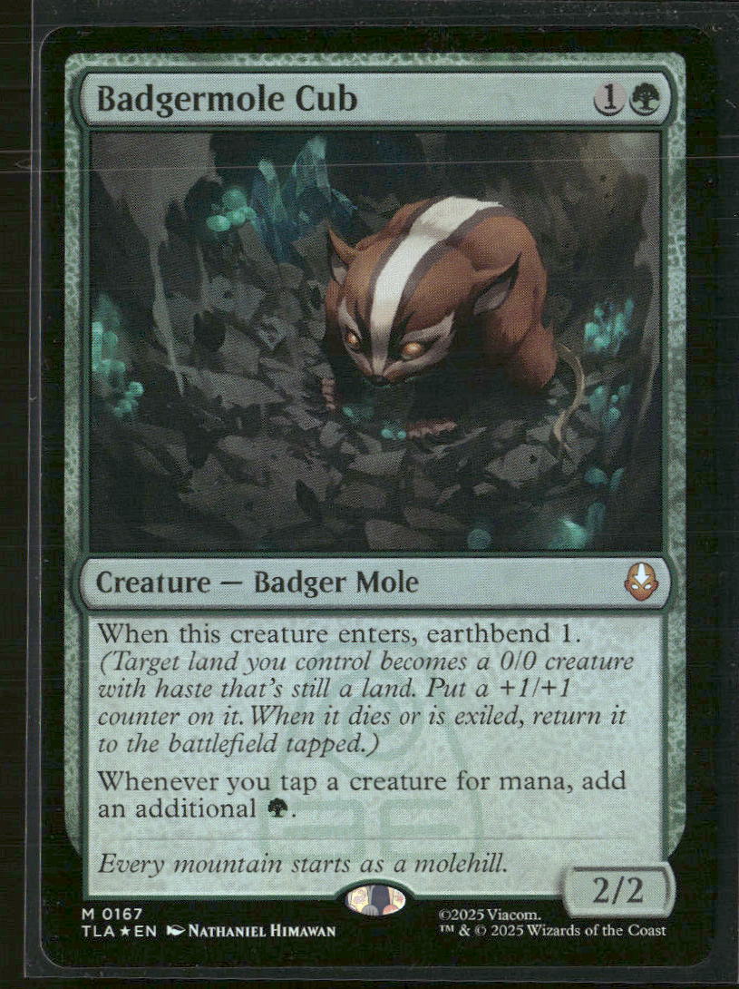 Avatar: The Last Airbender Badgermole Cub #167