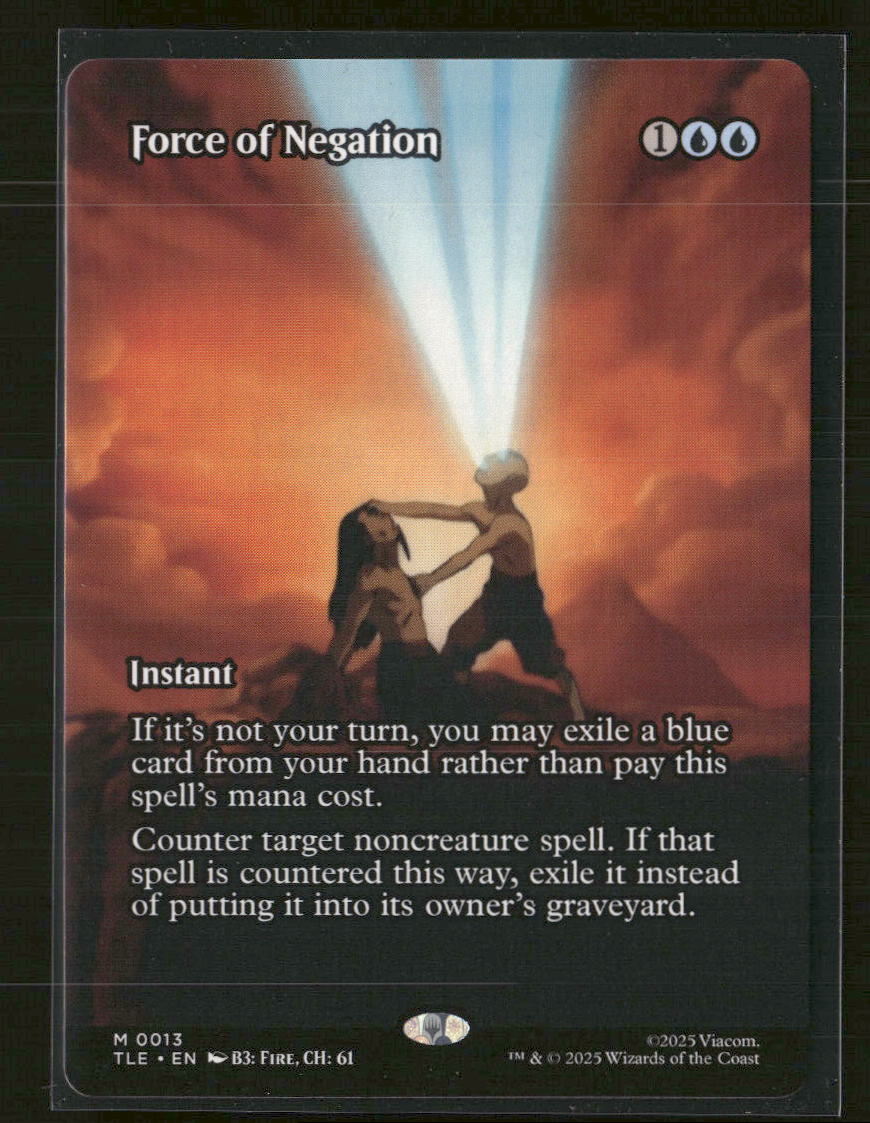 Avatar: The Last Airbender: Eternal-Legal Force of Negation (Borderless) #13