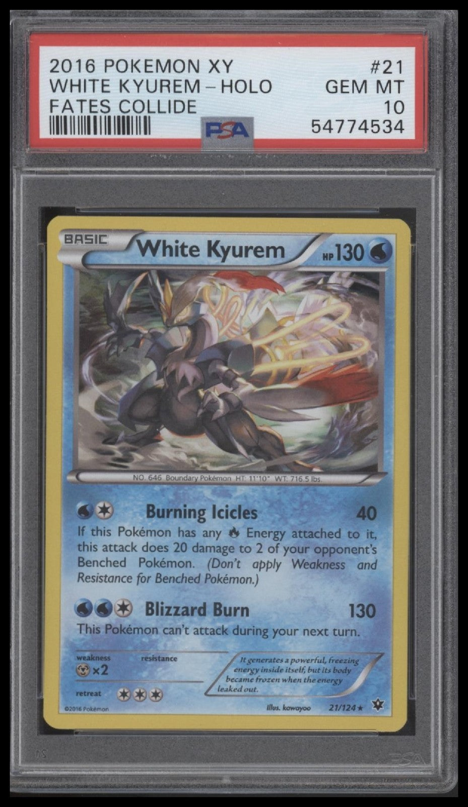 White Kyurem-Holo 2016 Pokemon Xy Fates Collide #21 Fates Collide PSA 10