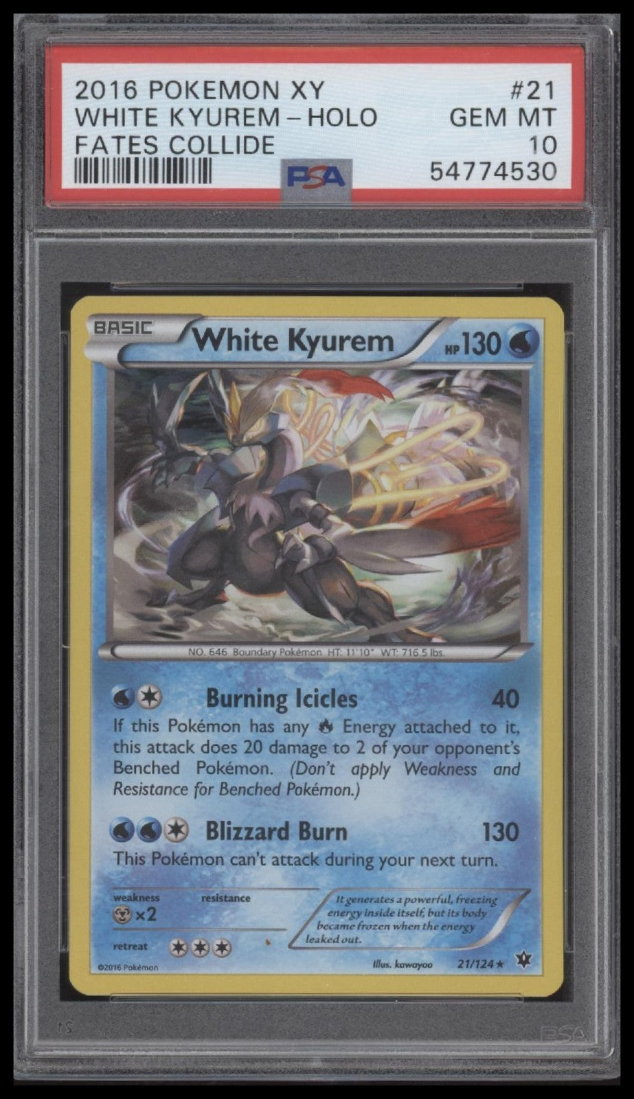 White Kyurem-Holo 2016 Pokemon Xy Fates Collide #21 Fates Collide PSA 10