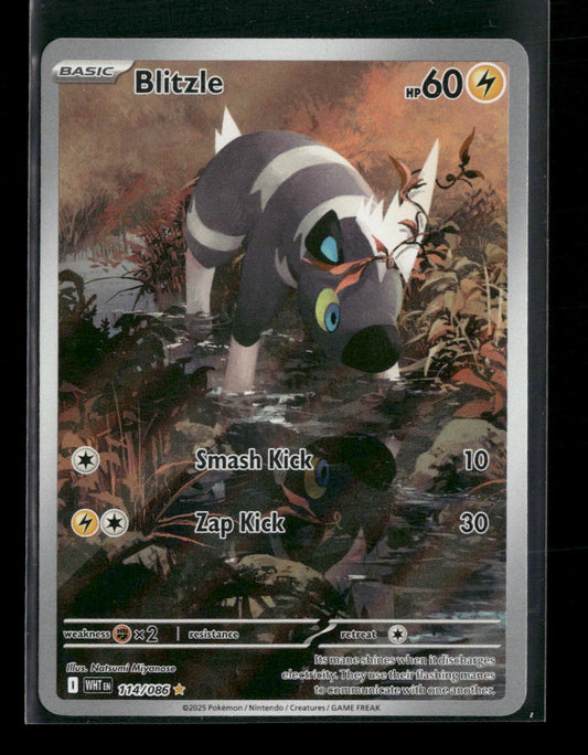 SV: White Flare Blitzle #114/086