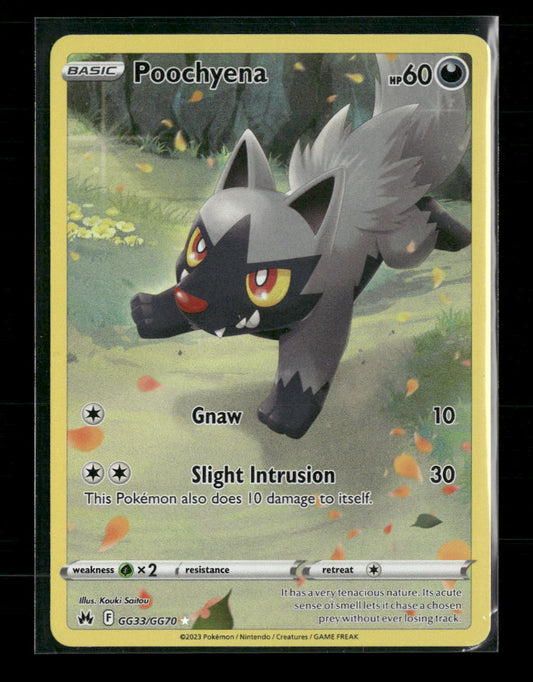 SWSH: Crown Zenith: Galarian Gallery Poochyena #GG33/GG70
