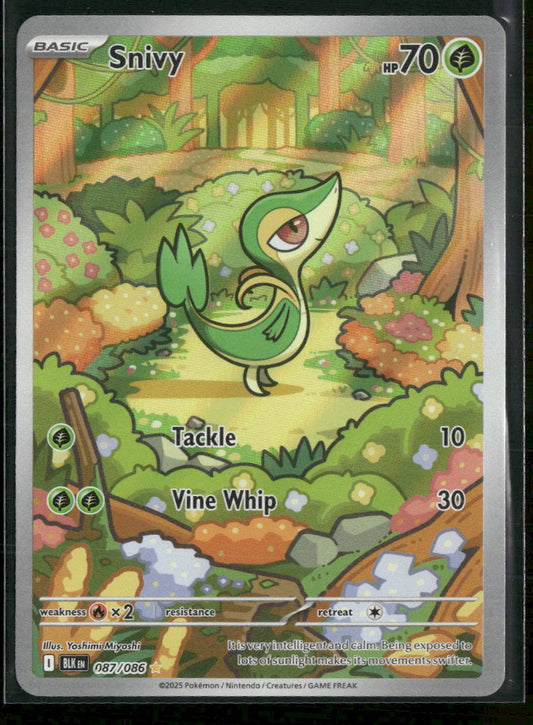 SV: Black Bolt Snivy #087/086